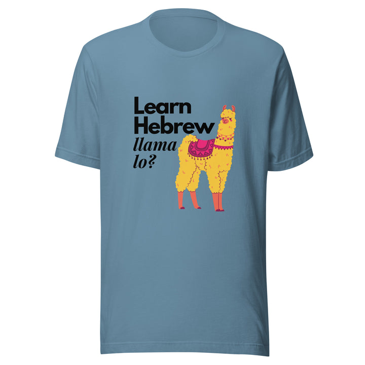 Learn Hebrew Llama Lo? Israel t-shirt in Steel Blue - back view