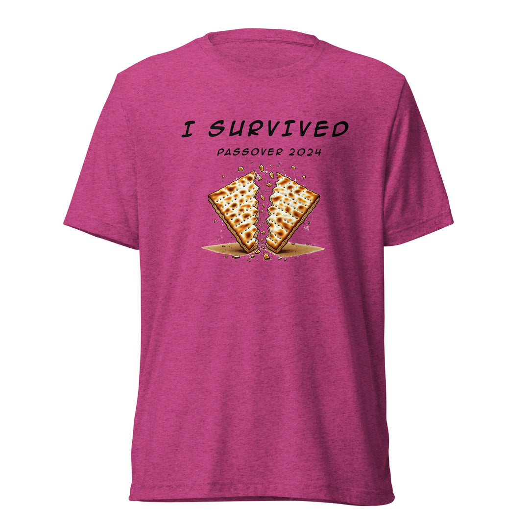 Tri-Blend T-Shirt | Passover
