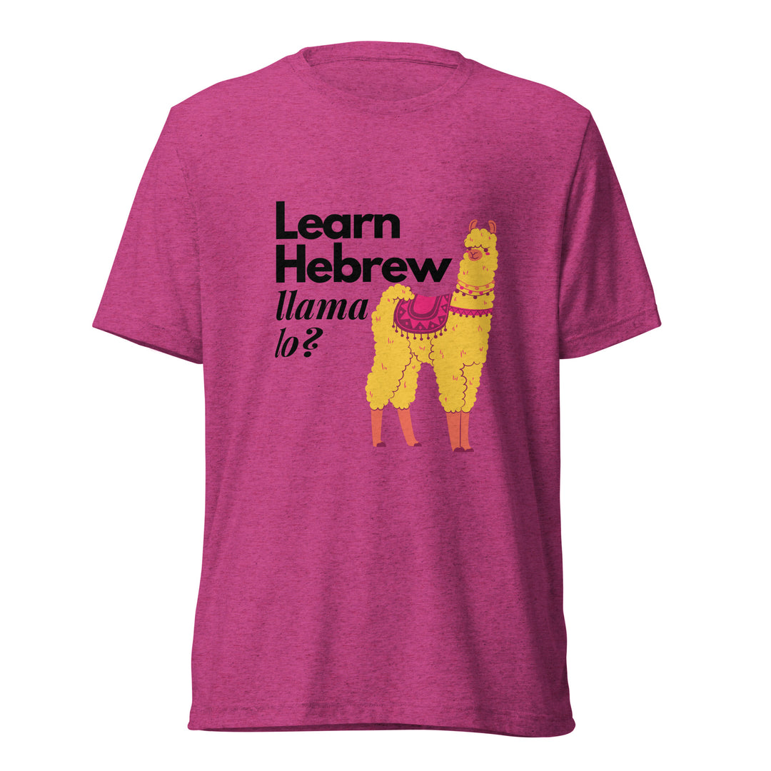 Learn Hebrew Llama Lo? Israel t-shirt in Berry Triblend - detail view