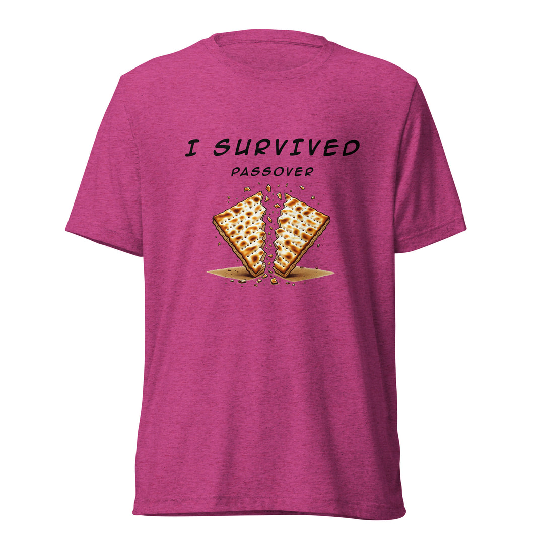 Passover Jewish pride t-shirt in Berry Triblend - front view