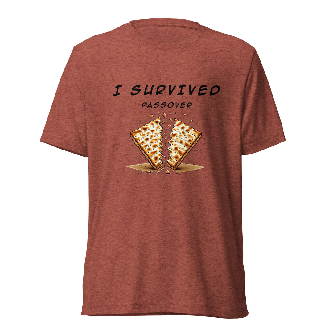 Passover Jewish pride t-shirt in Clay Triblend - back view