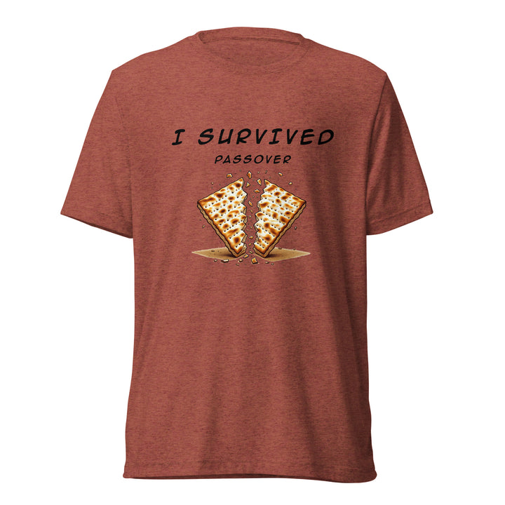 Passover Jewish pride t-shirt in Clay Triblend - back view