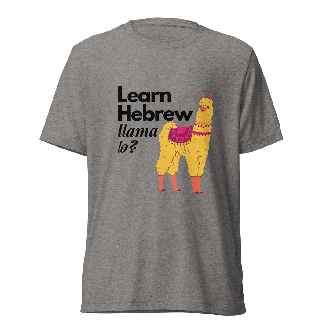 Learn Hebrew Llama Lo? Israel t-shirt in Grey Triblend - folded view