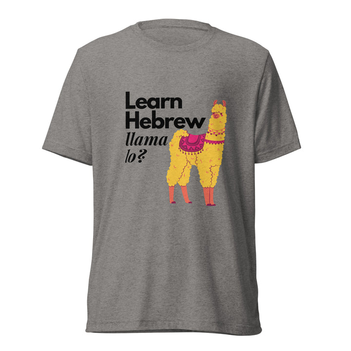 Learn Hebrew Llama Lo? Israel t-shirt in Grey Triblend - folded view