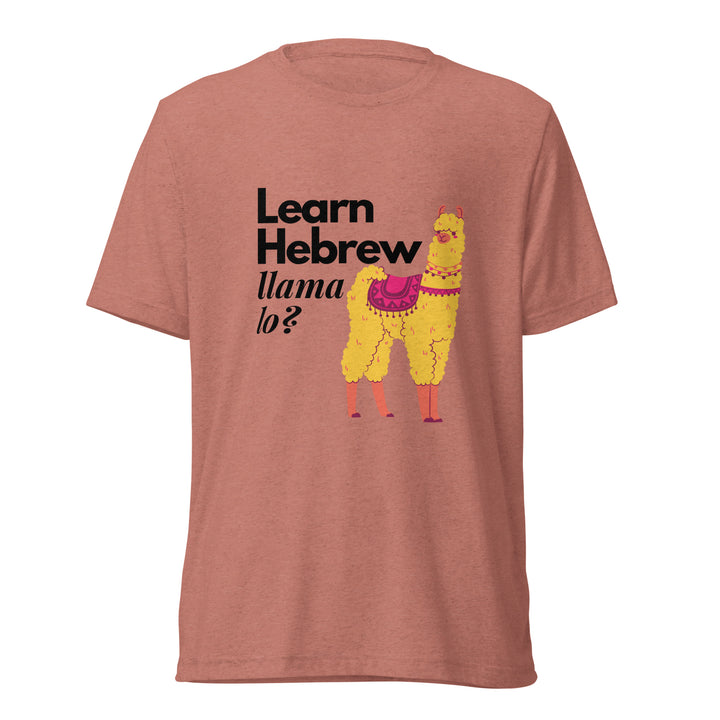 Learn Hebrew Llama Lo? Israel t-shirt in Mauve Triblend - back view