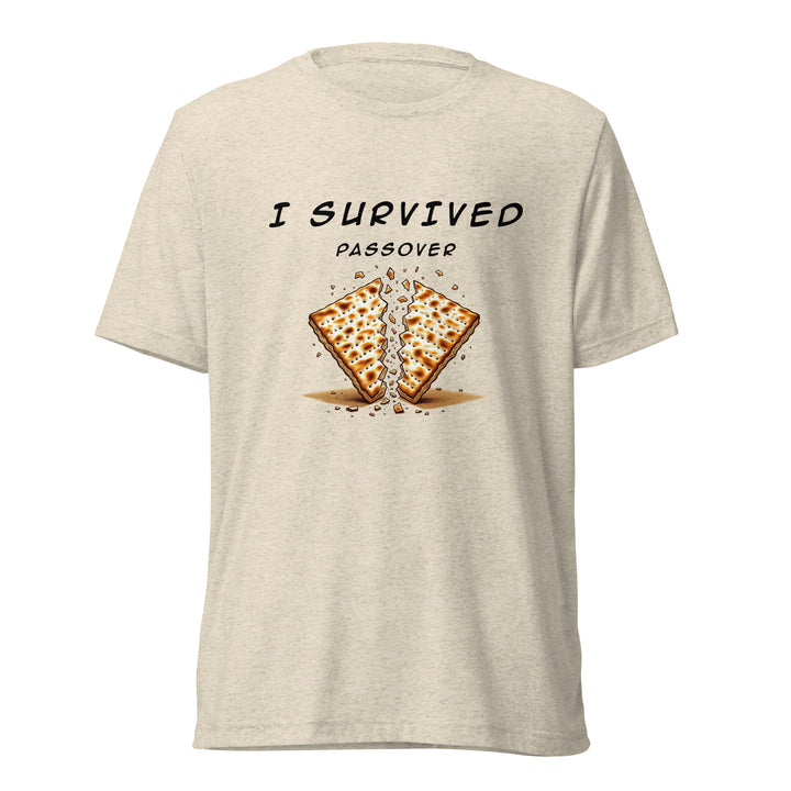 Passover Jewish pride t-shirt in Oatmeal Triblend - side view