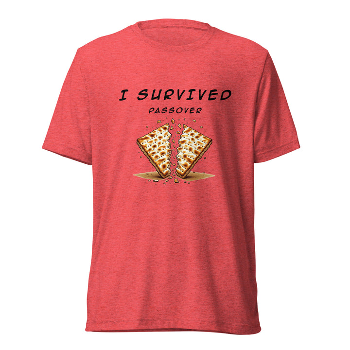 Passover Jewish pride t-shirt in Red Triblend - close-up