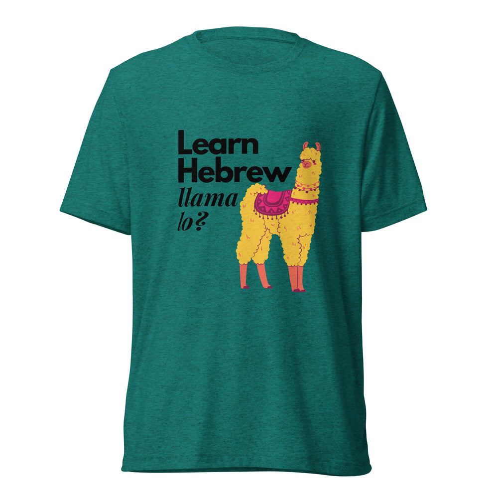 Learn Hebrew Llama Lo? Israel t-shirt in Teal Triblend - back view