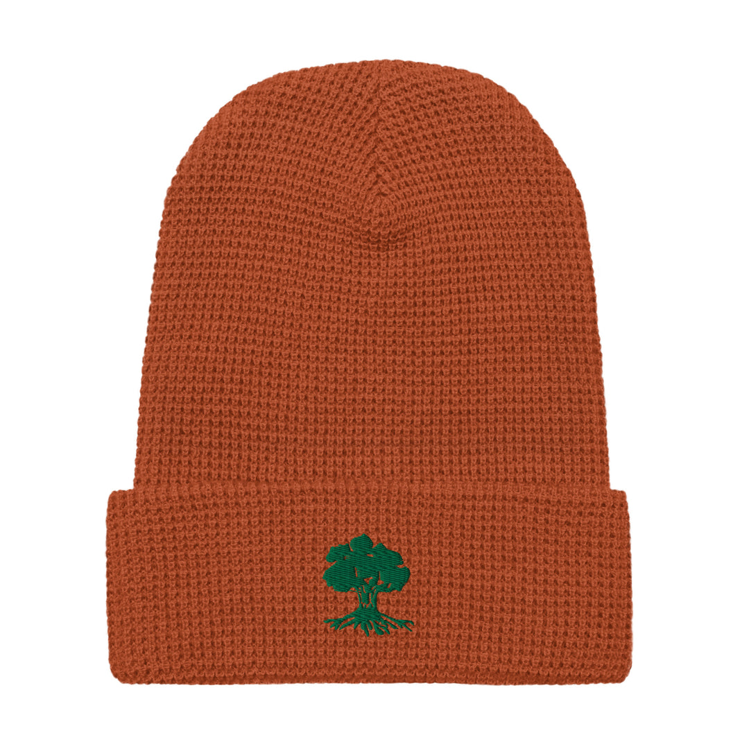 Waffle Beanie | Golani