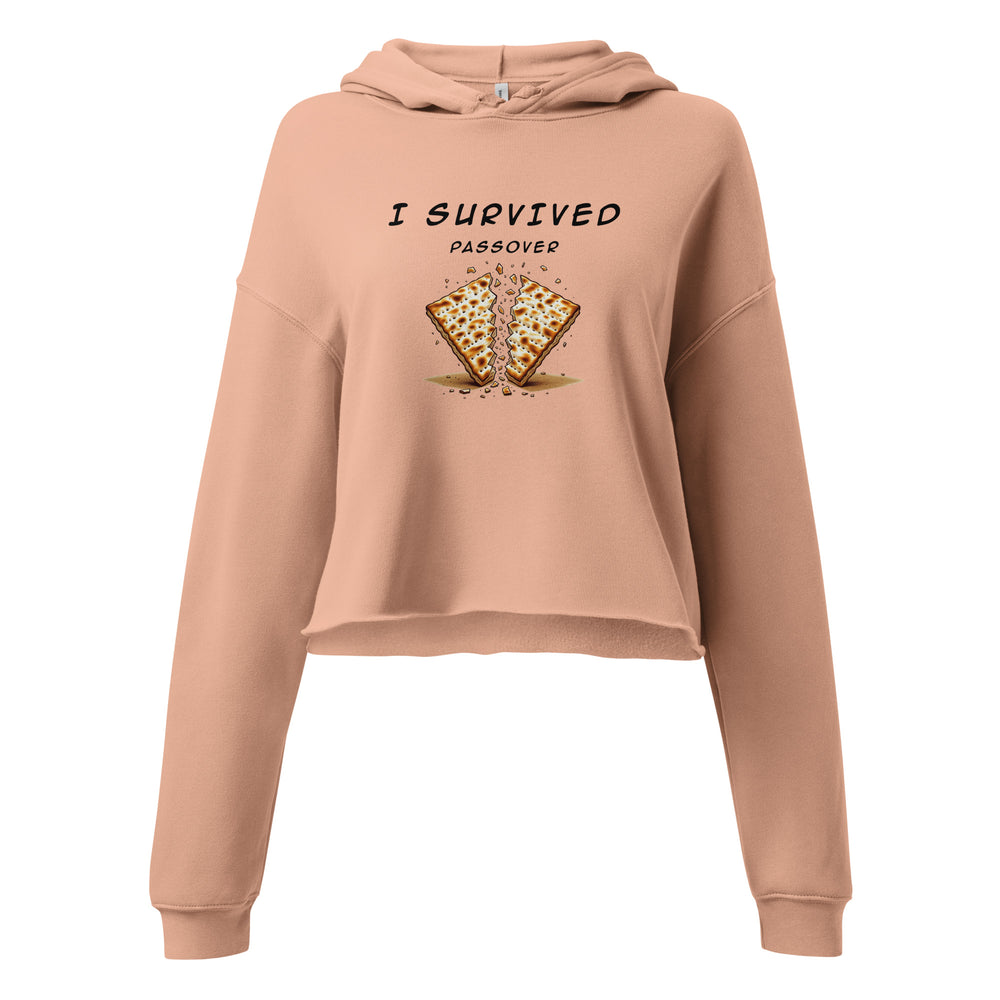 Passover Jewish pride women's hoodie in Peach - back view