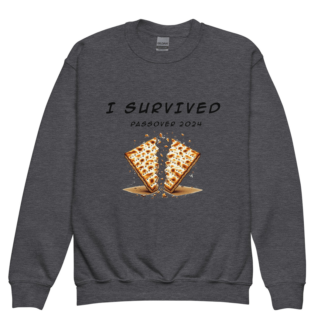 Youth Sweatshirt | Passover