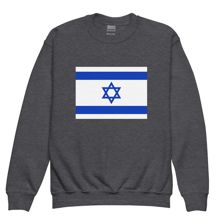 Youth Sweatshirt | Israel Flag