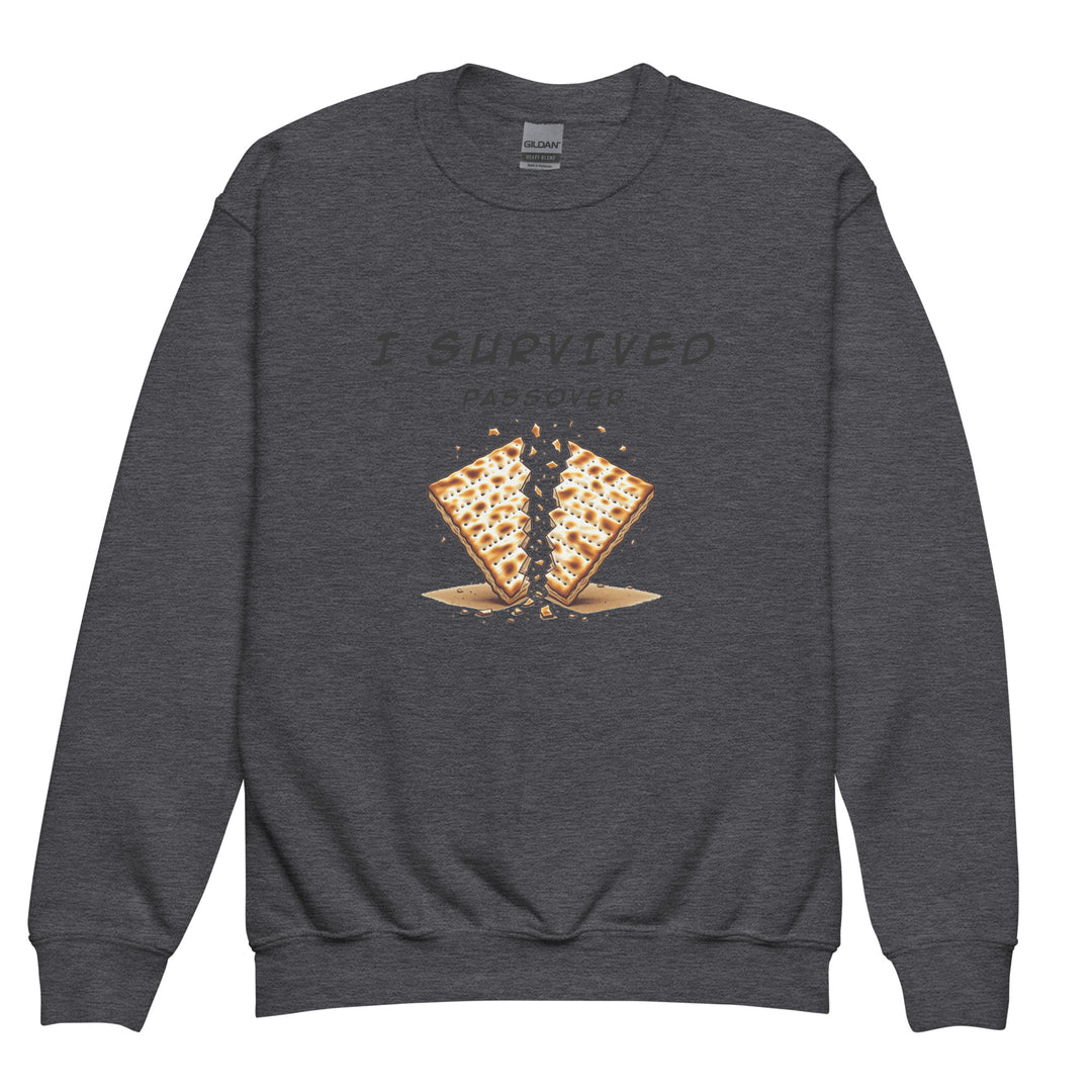 Passover Jewish pride kids sweatshirt in Dark Heather - front view