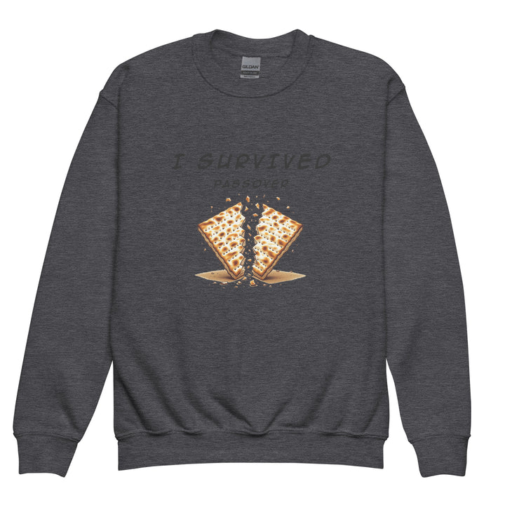 Passover Jewish pride kids sweatshirt in Dark Heather - front view
