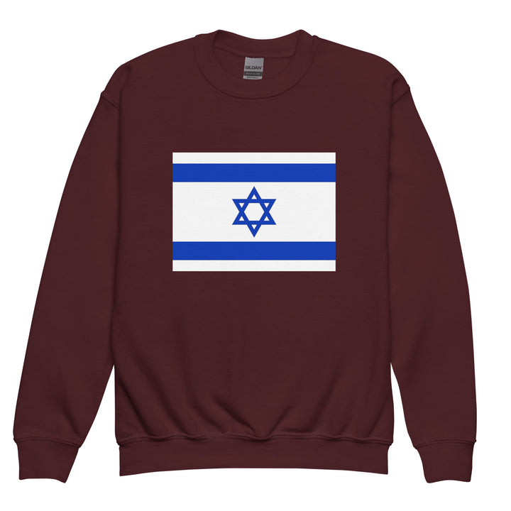 Youth Sweatshirt | Israel Flag