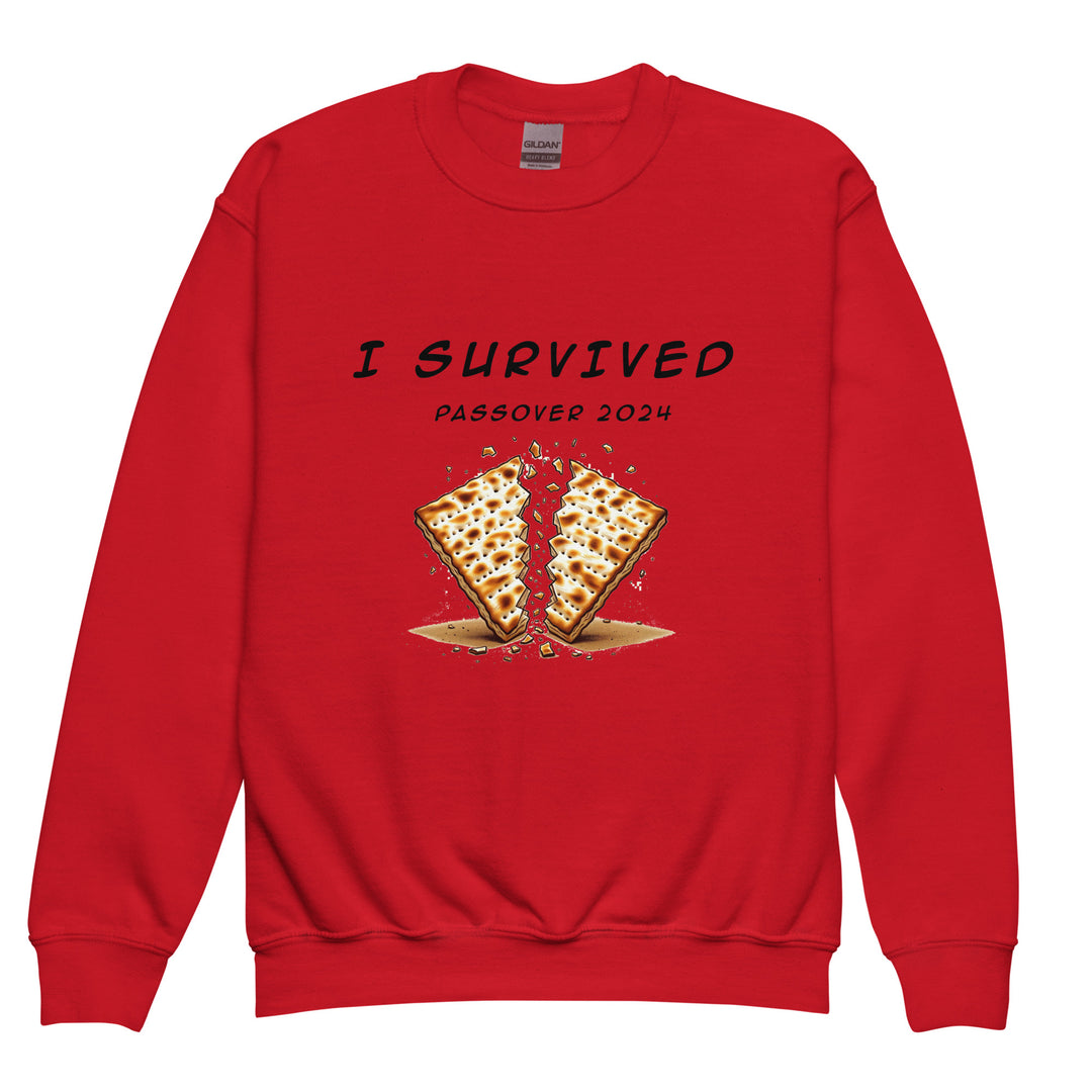 Youth Sweatshirt | Passover
