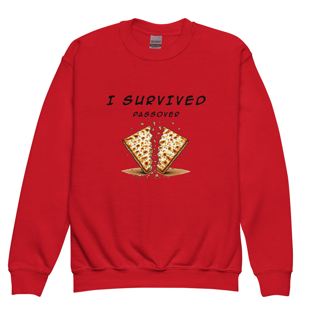 Passover Jewish pride kids sweatshirt in Red - back view