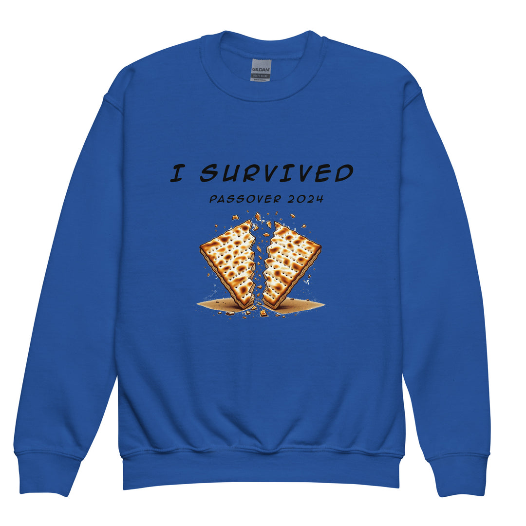 Youth Sweatshirt | Passover