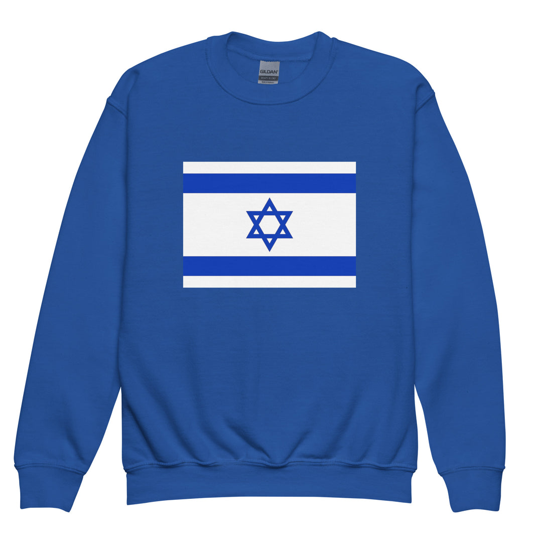 Youth Sweatshirt | Israel Flag