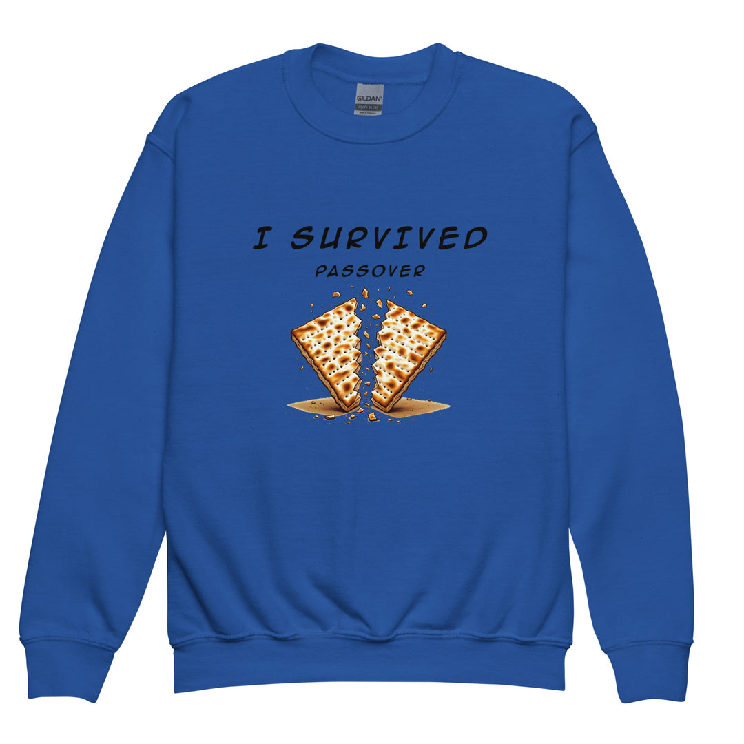 Passover Jewish pride kids sweatshirt in Royal - detail view