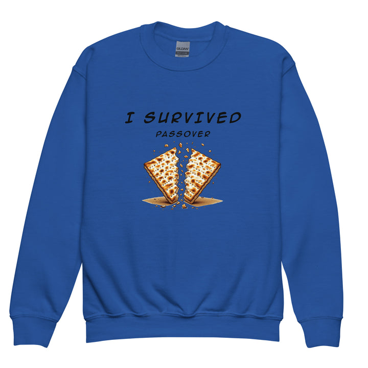 Passover Jewish pride kids sweatshirt in Royal - detail view
