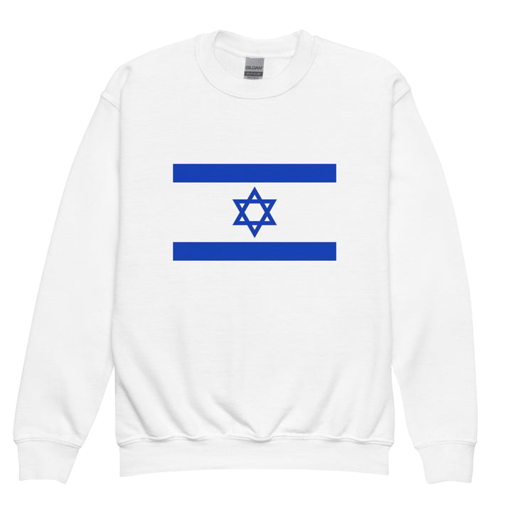 Youth Sweatshirt | Israel Flag