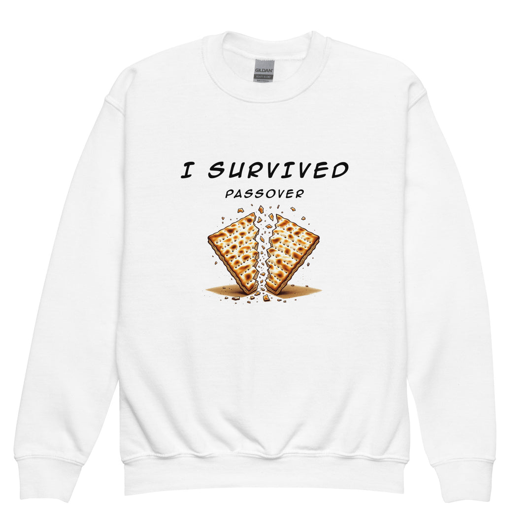 Passover Jewish pride kids sweatshirt in White - flat lay