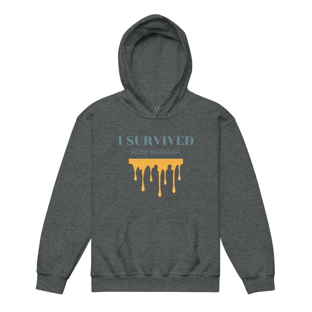 I Survived Rosh HaShana Jewish pride kids heavy blend hoodie in Dark Heather - close-up