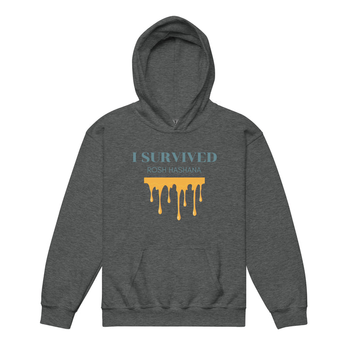 I Survived Rosh HaShana Jewish pride kids heavy blend hoodie in Dark Heather - close-up