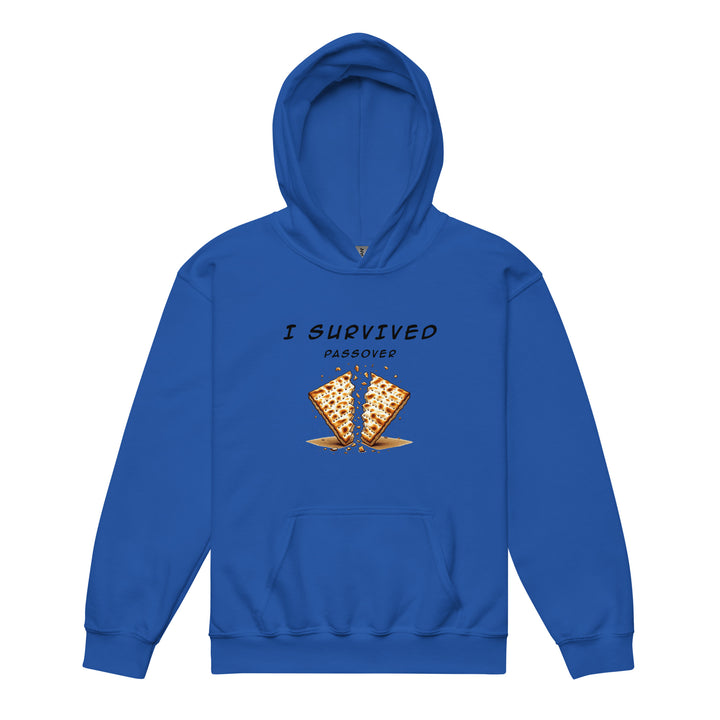 Passover Jewish pride kids heavy blend hoodie in Royal - front view