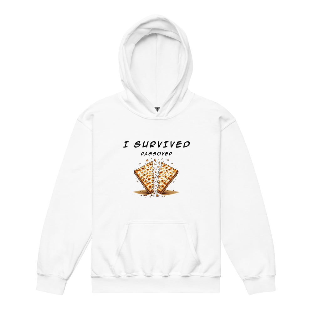 Passover Jewish pride kids heavy blend hoodie in White - back view