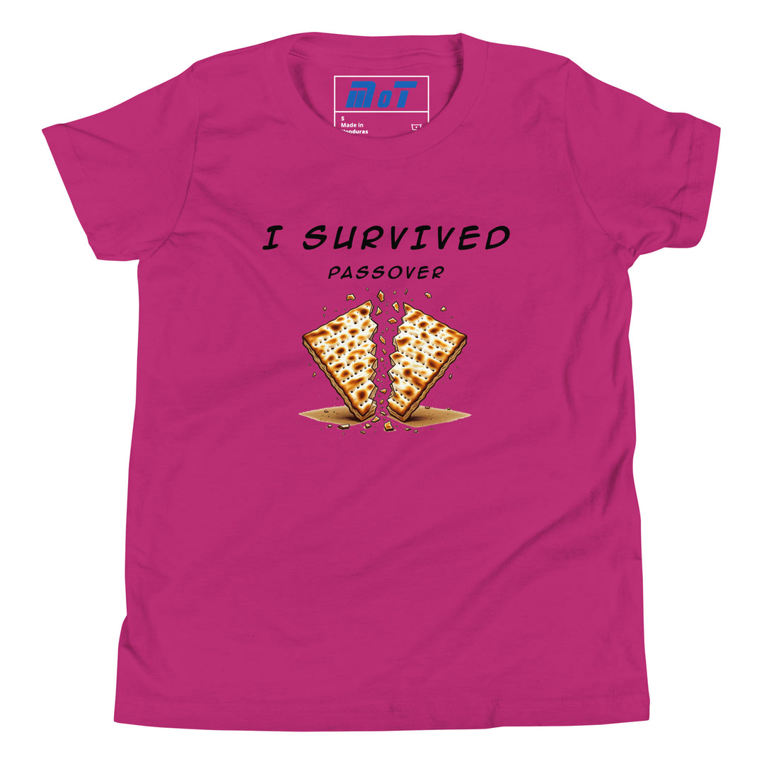 Passover Jewish pride kids short sleeve t-shirt in Berry - front view
