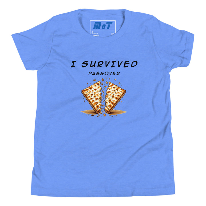 Passover Jewish pride kids short sleeve t-shirt in Heather Columbia Blue - flat lay
