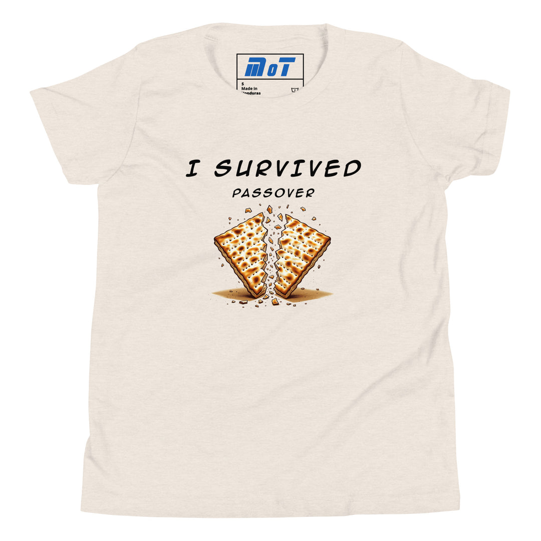 Passover Jewish pride kids short sleeve t-shirt in Heather Dust - front view