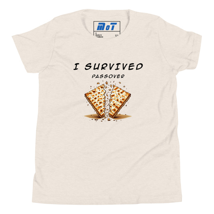 Passover Jewish pride kids short sleeve t-shirt in Heather Dust - front view