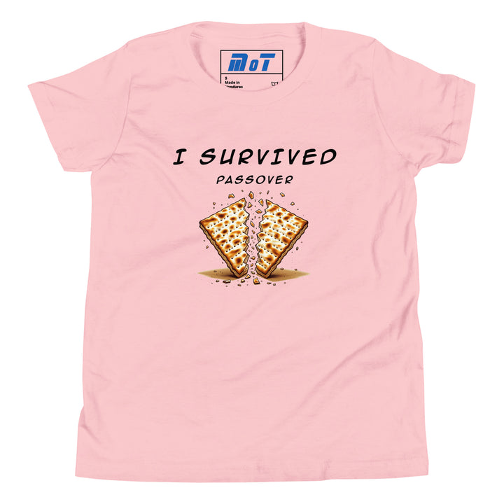 Passover Jewish pride kids short sleeve t-shirt in Pink - folded view